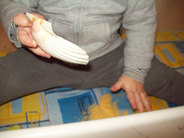 Manipolazioni