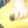 Manipolazioni
