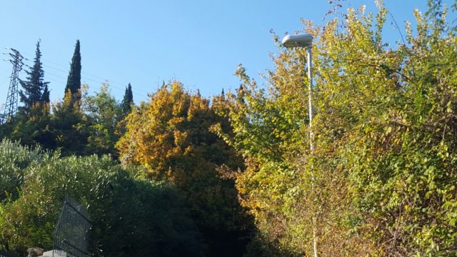 S.I. - passeggiata dei grandi